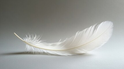 Obraz premium A close-up of a delicate white feather placed on a white surface, symbolizing lightness and purity