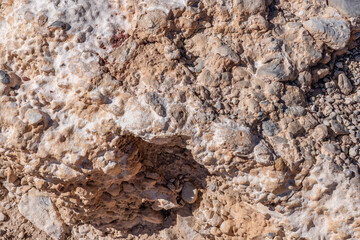 Aztec Sandstone(Jurassic) geological formation. weathering. Scenic Loop Dr, Red Rock Canyon National Conservation Area, Las Vegas, Clark County, Nevada. Mojave Desert. Basin and Range Province
