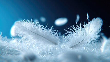 Delicate white feathers floating and dancing in a soft, ethereal environment