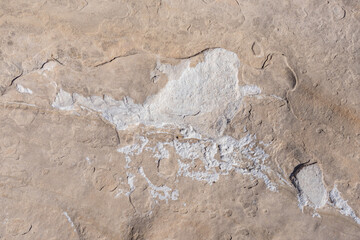 Caliche. Aztec Sandstone(Jurassic) geological formation. weathering. Scenic Loop Dr, Red Rock...