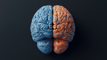 A stylized image of a human brain, split into two halves, one blue and one orange, with intricate neural connections highlighted against a dark background.