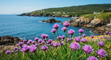Obraz premium Purple flowers bloom on scenic coast near blue sea. Coastal beauty with vibrant flowers