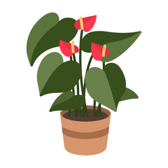 Editable green and red house plant or Anthurium vector illustration