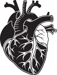Human Heart icon design, vector.