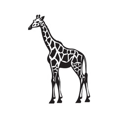 Obraz premium Giraffe black silhouette of simple minimal vector