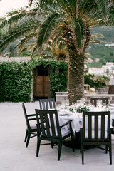 Laid table with chairs stands near a palm tree in an open-air restaurant