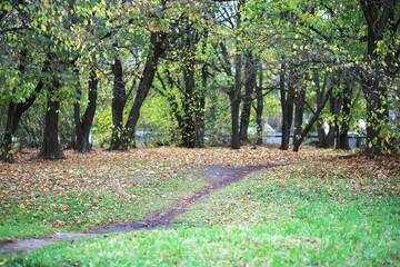 city park without people on an autumn day, bright rays of the sun shine through the crowns of maple trees