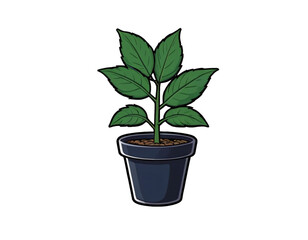 Plant
