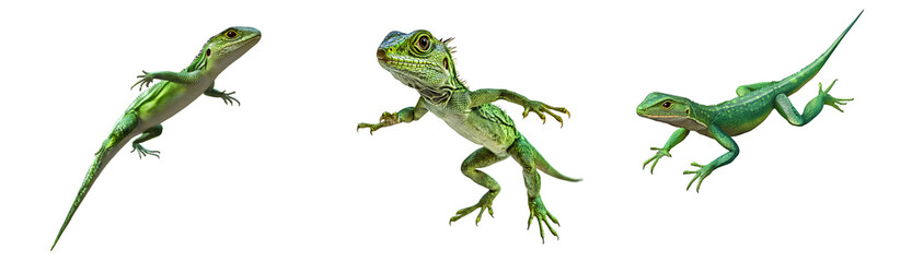 Obraz premium Green lizard, jumping, with a transparent background