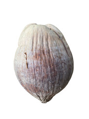 Coconut shell natural texture brown color tropical fruit organic material hard exterior round shape healthy snack culinary use eco friendly product raw ingredient sustainable resource food