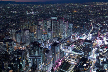 新宿夜景・摩天楼