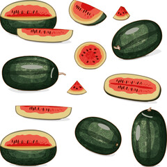 Set of Black Beauty Watermelon. Citrullus lanatus. Fruits and vegetables. Clipart. Isolated vector illustration.