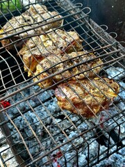 grill lamb meat on barbecue grill