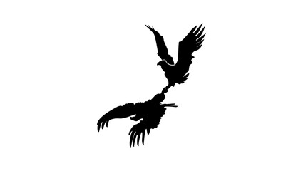 Bald eagles dance, black isolated silhouette