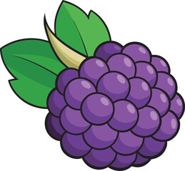 A vibrant vector art illustration showcasing delicious boysenberries with rich colors and detail, perfect for food, nature, or packaging designs.