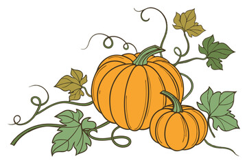 47 Photorealistic pumpkins, vibrant orange, detailed texture, green leaves, curling vines, shadows and highlights, white background, studio lighting, vector art style, clean lines, autumn harvest, bot