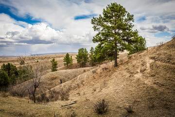 mongolian countryside 
