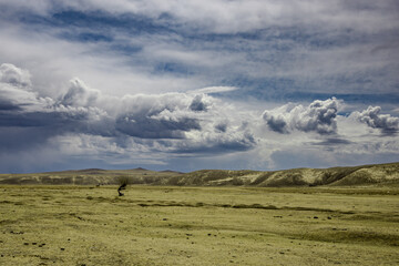 mongolian countryside