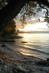 Sunset Lake Shore Trees