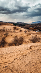 Countryside Mongolia with green trees and sand dune