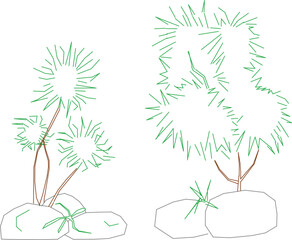 A landscape tree is a living focal point that enhances outdoor spaces with its structure, texture, and seasonal beauty