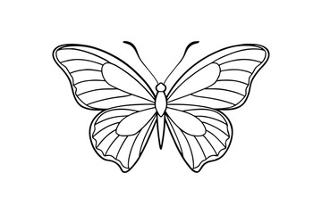 Line art illustration of a butterfly.eps