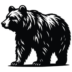 bear vector illustration