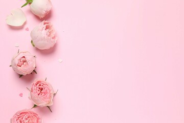 Beautiful pink peony roses on color background, space for text