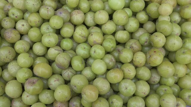 Prayagraj,India-6 January 2025 pile of amla fruit or Phyllanthus emblica for sale in the market at Prayagraj or Allahabad Uttar Pradesh India South Asia