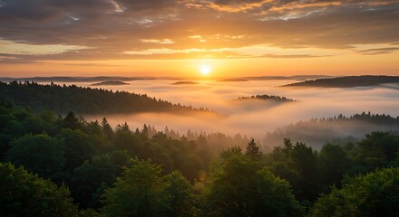 Obraz premium Sunrise over Misty Forest: Golden Hour Landscape Photography