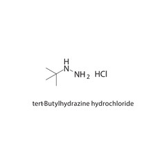 tert-Butylhydrazine hydrochloride skeletal structure. Hydrazine salt compound schematic illustration. Simple diagram, chemical formula.