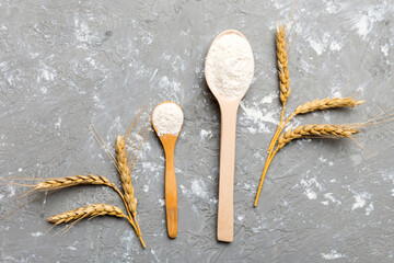 Flat lay of Wheat flour in wooden bowl with wheat spikelets on colored background. world wheat...