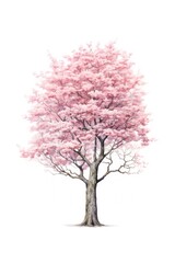Fototapeta premium Tree blossom flower plant.