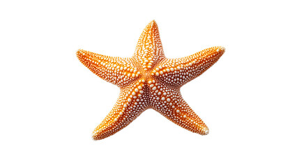 Bright starfish isolated on white background, evoking summer vibes, PNG, created with Generative AI