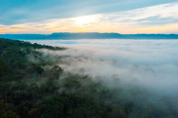 Misty Forest Landscape at Sunrise