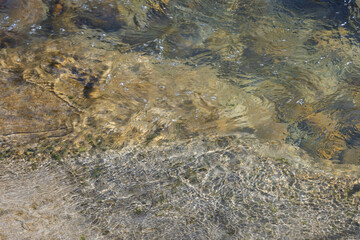 paysage de l'Aubonne rivière sauvage