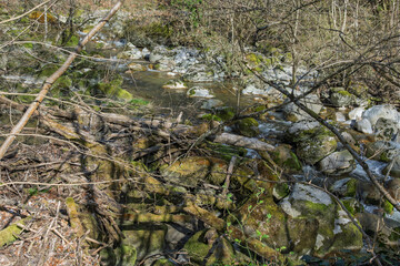 paysage de l'Aubonne rivière sauvage