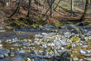 paysage de l'Aubonne rivière sauvage