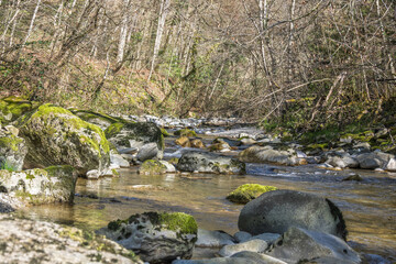 paysage de l'Aubonne rivière sauvage