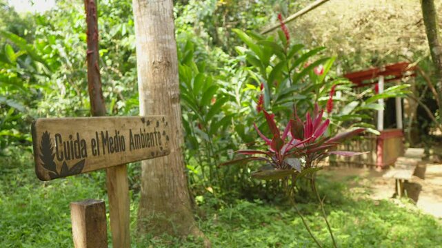 wood sing in middle of jungle Cuida el medio ambiente save the planet take care of environment at Villa Luz Tapijulapa Tabasco Mexico