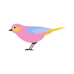 Spring bird illustration