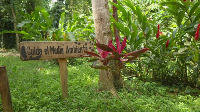 Wooden sing take care of environment cuida el medio ambiente spanish sign latin america at Tabasco Mexico jungle