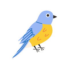 Spring bird illustration