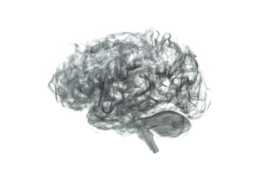 Abstract 3D illustration of brain made from swirling lines, symbolizing thoughts and creativity. Ideal for science, education, and mental health concepts. PNG illustration on transparent background.