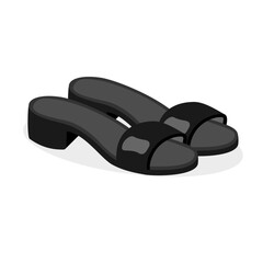 Women's Shoes, Women Sandal isolated on white background