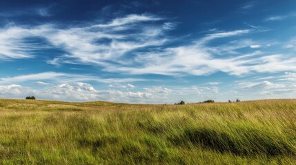 Obraz premium A serene landscape featuring lush green fields under a vibrant blue sky with scattered clouds, perfect for nature lovers.
