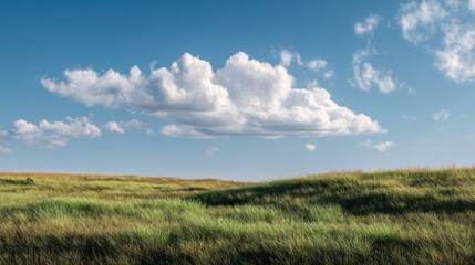 Obraz premium A serene landscape featuring lush green grass under a bright blue sky with fluffy clouds, creating a perfect natural backdrop.