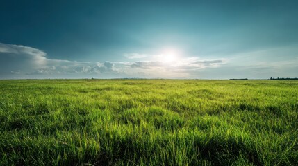 Fototapeta premium A vast green field under a bright sky, capturing the beauty of nature with sunlight spilling over the grass and clouds in the distance.