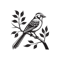 Bird silhouette on branch