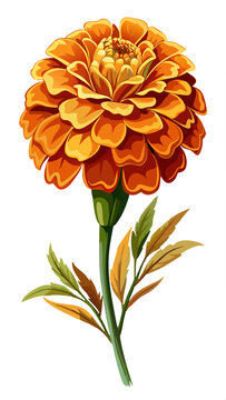recommend clip art: Detailed vector illustration of a vibrant orange and yellow marigold flower